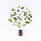 Bottle of essential oil with herb holy basil leaf,