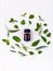 Bottle of essential oil with herb holy basil leaf, rosemary,oregano, sage,basil and mint on white background.