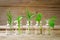 A bottle of essential oil with herbs of basil, rosemary, parsley, dill and mint, set on an old wooden background.