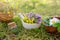 Bottle of essential oil, mortar of thyme and sedum flowers, basket of medicinal herbs on moss in forest outdoors.