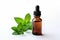 A bottle of essential oil next to a sprig of mint on white background.