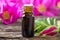 A bottle of essential oil with Rugosa roses