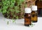 Bottle of essential thyme oil