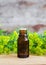 Bottle of euphorbia cyparissias, cypress spurge extract (Milkweed herbal tincture, infusion, oil)