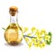 Bottle of fresh organic rape seed oil and oilseed rape flowers, flowering rapeseed canola or colza, isolated, hand drawn
