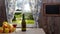 Bottle and glass of cider with apples. In rustic house