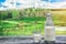 Bottle and glass of cold milk on the wooden table. Fresh dairy products. Nature background.