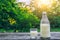 Bottle and glass of cold milk on the wooden table. Fresh dairy products. Nature background.