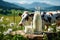 Bottle and a glass of fresh milk on the background of an alpine field and a cow