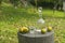 Bottle and glass of pear rakia on rural surrounding