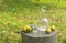 Bottle and glass of pear rakia on rural surrounding