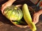 Bottle gourd, pumpkin, Sponge gourd and okara vegetable.