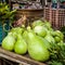 Bottle green gourds ( calabash )