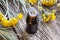 A bottle of helichrysum essential oil with fresh blooming helichrysum plant