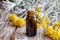 A bottle of helichrysum essential oil with fresh blooming helichrysum plant
