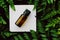 Bottle of herbal essential oil in a green tropical garden, natural scent and organic cosmetics