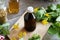 A bottle of herbal tincture with fresh tetterwort plant