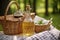 bottle of homemade schnapps with picnic basket