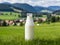 Bottle of homemade village milk against the backdrop of the village. AI