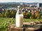 Bottle of homemade village milk against the backdrop of the village. AI