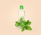 Bottle made of biodegradable plastic and green leaves on beige background