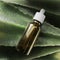 Bottle natural oil aloe, medicine beauty health, background, liquid cosmetic serum. Glass Bottle, care organic herbal, treatment