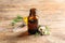 Bottle of natural tea tree oil and plant