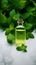 Bottle of oil with green leaves. Essential oil of peppermint in bottle with fresh green.