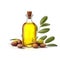 Bottle olives oil with olives fruits