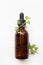 A bottle of oregano essential oil with fresh oregano leaves on w