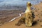 Bottle overgrown with mussels and sea