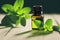 A bottle of peppermint oil and sprigs with mint leaves are illuminated by the rays of the sun..