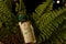 Bottle of perfume English Fern by Penhaligon`s in beautiful surroundings of lush fern leaves