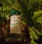 Bottle of perfume English Fern by Penhaligon`s in beautiful surroundings of lush fern leaves