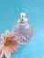 Bottle perfume flower   scent  elegance essence    on a colored background creative