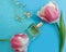 Bottle perfume flower tulip on colored background
