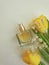 Bottle perfume flower tulip fresh   styling   on colored background feminine