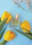 Bottle perfume flower tulip fresh   styling  elegance   on colored background feminine