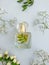 Bottle perfume springtime elegance    flower bloom on a colored background