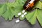 Bottle of pills and fresh ginkgo biloba leaves on grey background. Traditional, herbal medicine and Homeopathy concept