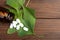 Bottle of pills and fresh ginkgo biloba leaves on wooden background. Traditional, herbal medicine and Homeopathy concept