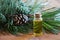 A bottle of pine essential oil with fresh pine twigs
