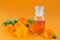 Bottle of pot marigold tincture, with fresh Calendula flowers on orange background. Natural herbal alternative medicine