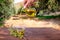 Bottle pouring cretan extra virgin olive oil in a bowl on wooden table at an olive tree field.