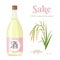 Bottle of sake, spike of rice and grains isolated on white background. Vector illustration