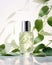 Bottle scent pink white fragrance perfume cosmetic flower elegance aroma beauty luxury background