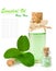 Bottle of scented oil and leaf clover in drops of water