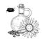Bottle of sunflower oil with flower and heap of seed. Vector Hand drawn illustration. Glass pitcher