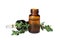 Bottle with thyme essential oil and fresh herb