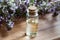 A bottle of thymus serpyllum Breckland thyme essential oil